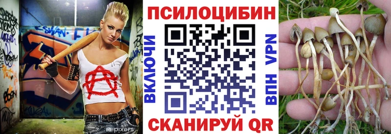 дарнет шоп  Лагань  Псилоцибиновые грибы мицелий 